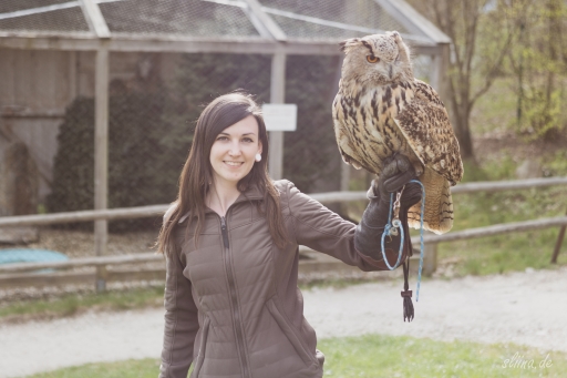 greifvogel