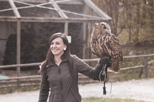 greifvogel
