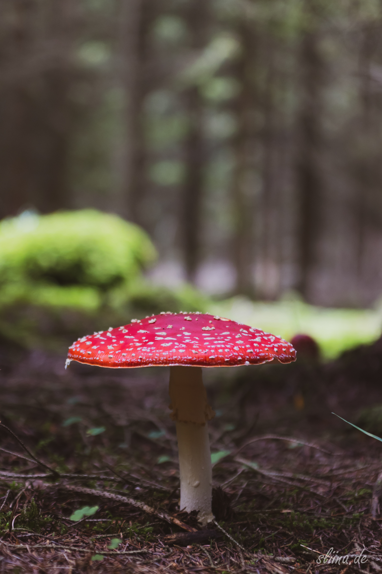 POTW