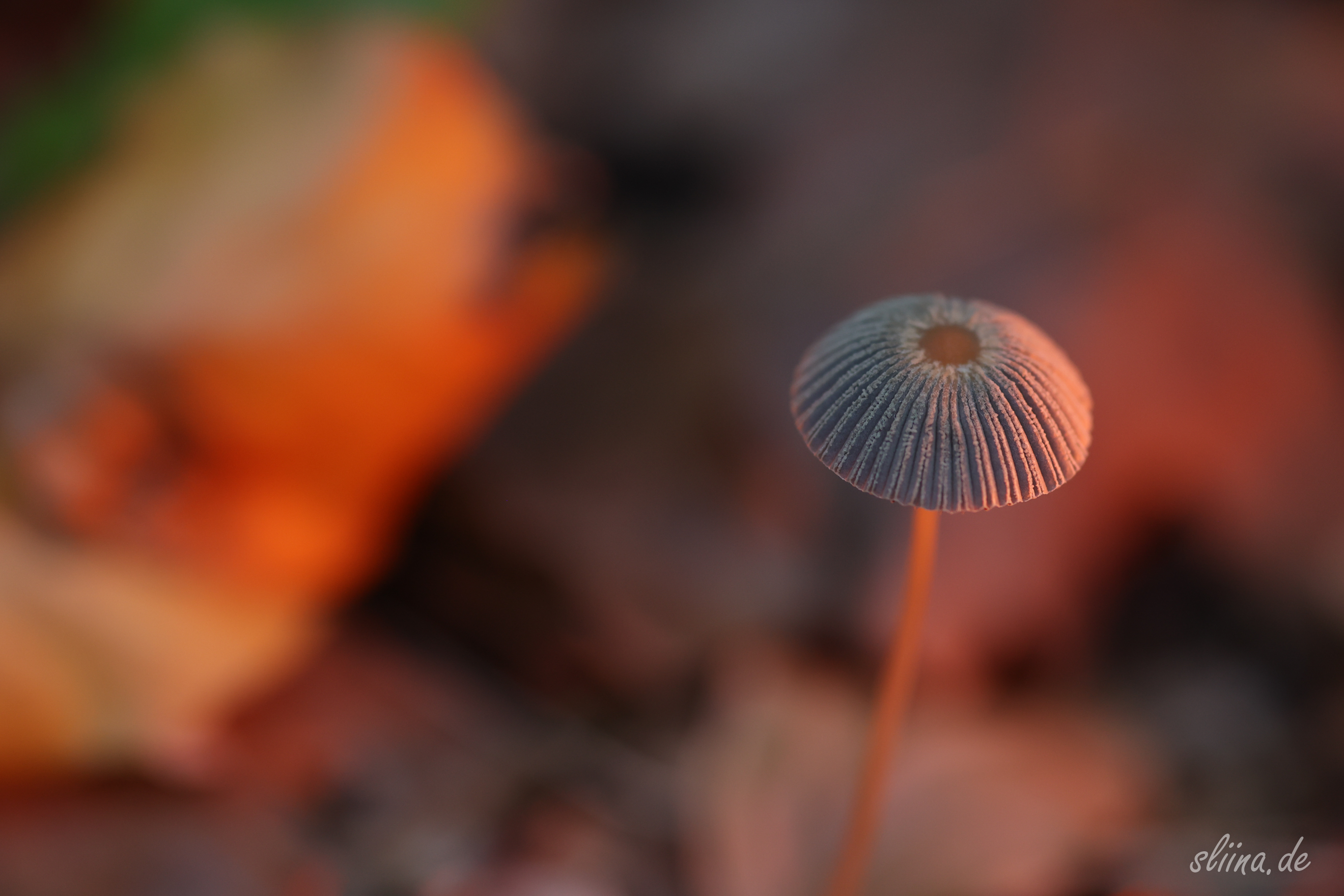 POTW